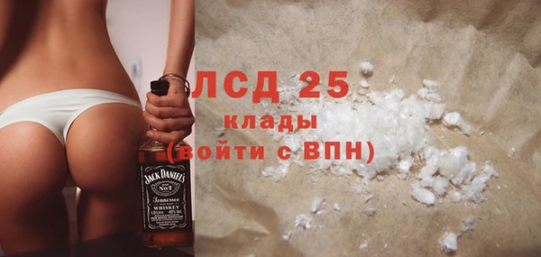 сатива Иннополис