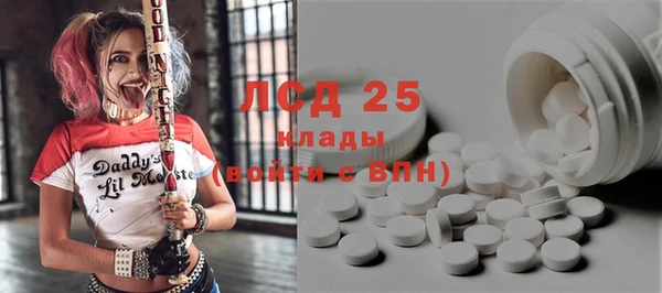 сатива Иннополис