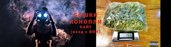 сатива Иннополис