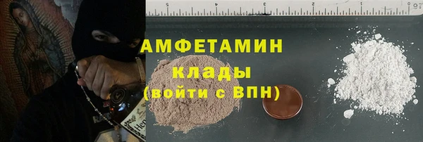 сатива Иннополис