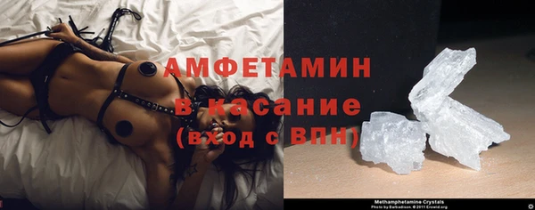 сатива Каменногорск