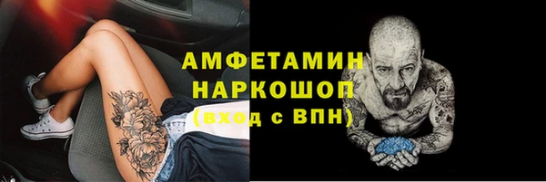 сатива Каменногорск
