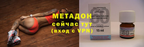 сатива Каменногорск