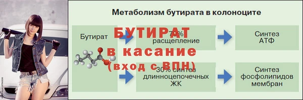 сатива Иннополис