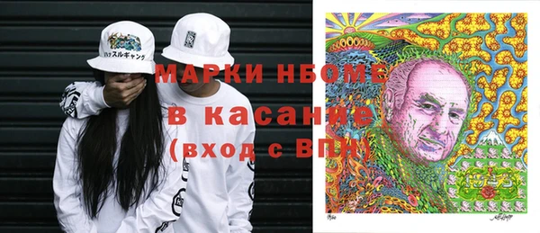 сатива Каменногорск