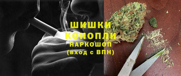 сатива Каменногорск