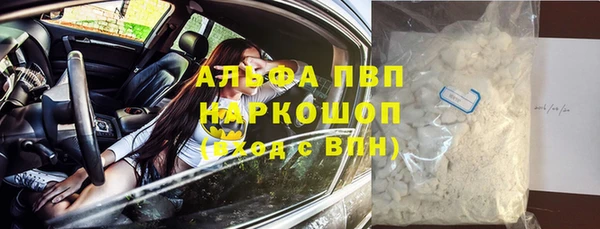 сатива Иннополис