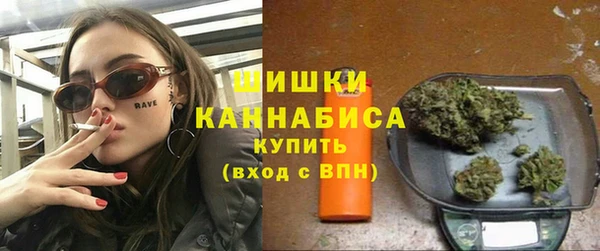 сатива Иннополис