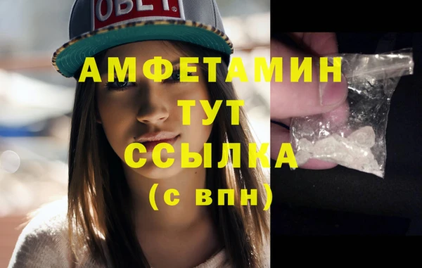 сатива Каменногорск